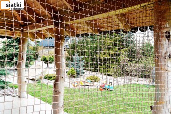 Siatki Szamotuły - Mocna siatka z dużym oczkiem na altankę ogrodową dla terenów Szamotuł